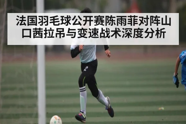 法国羽毛球公开赛陈雨菲对阵山口茜拉吊与变速战术深度分析
