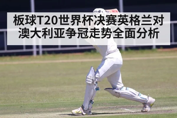 板球T20世界杯决赛英格兰对澳大利亚争冠走势全面分析